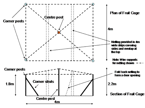 Fruitcage diagram