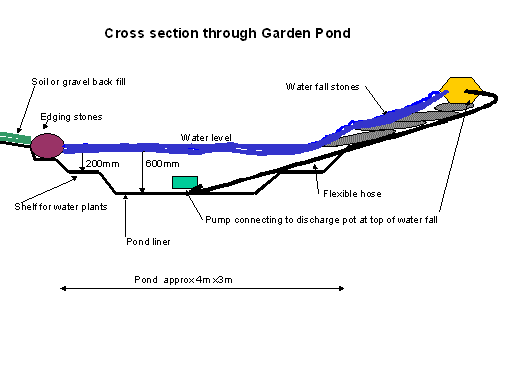 Cross section through garden pond